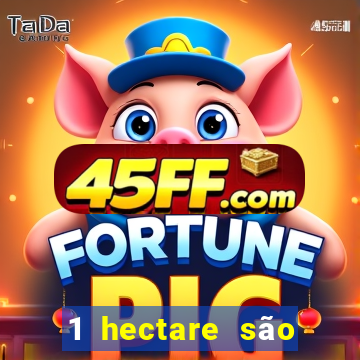 1 hectare são quantas tarefas na bahia